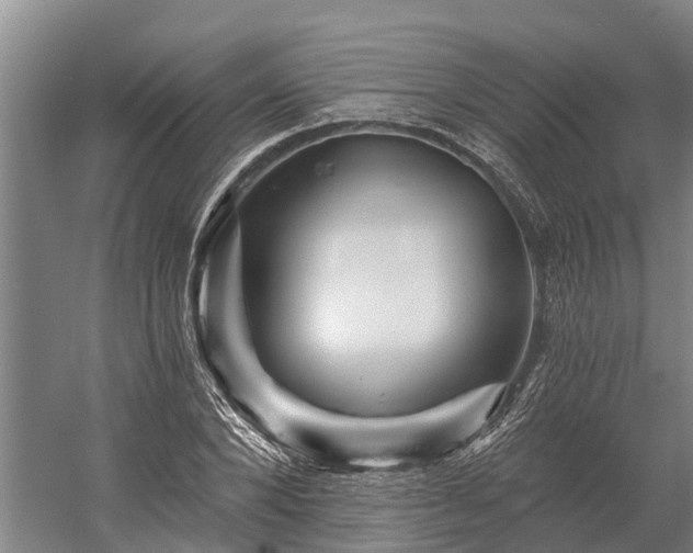 X0000058770880200510071540