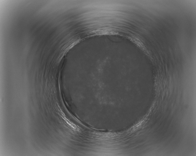 X0000058770881200510071540
