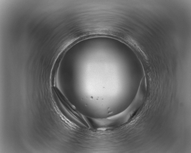 X0000058770884200510071540