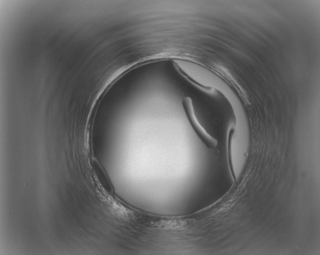 X0000058770900200510071539