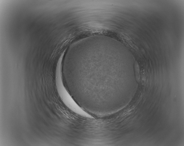 X0000058770916200510071538