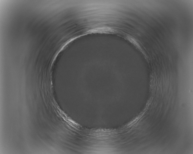 X0000058770923200510071538