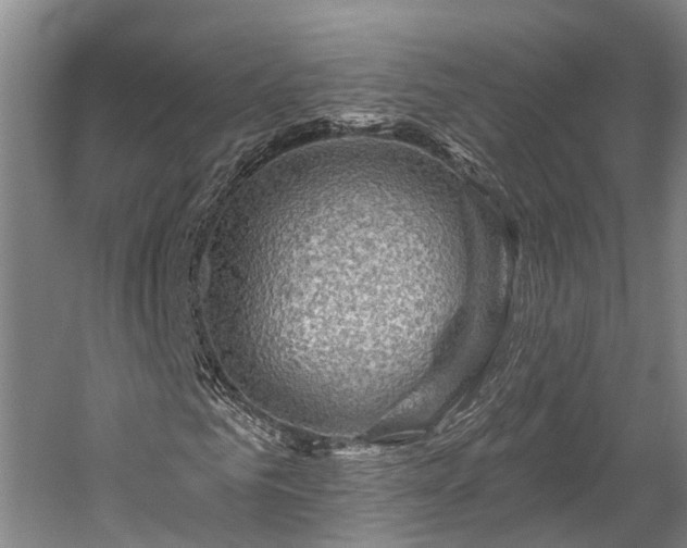 X0000058770961200510071538
