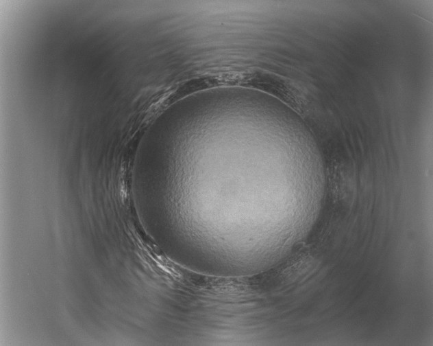 X0000058770962200510071538