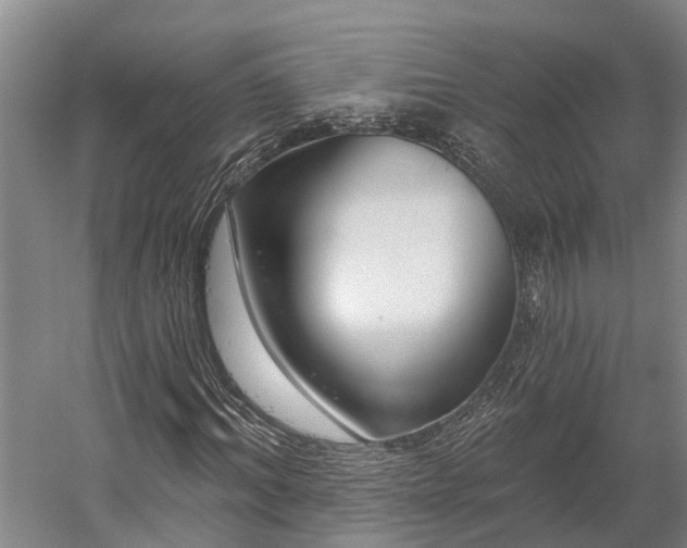 X0000058770964200510071538