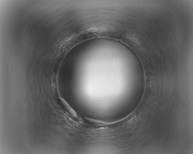 X0000058770966200510071538