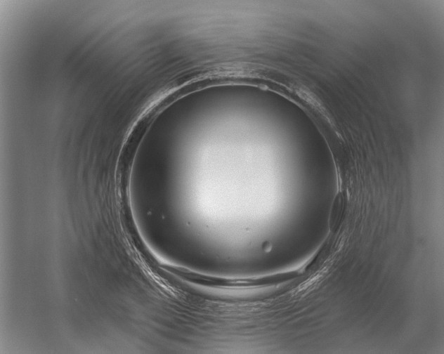 X0000058770981200510071538