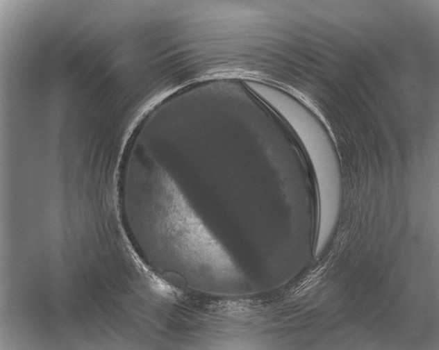 X0000058770995200510071538