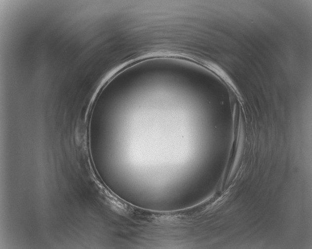 X0000058771004200510071538