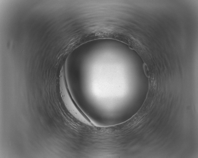 X0000058771012200510071537