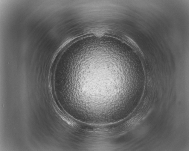 X0000058771035200510071537