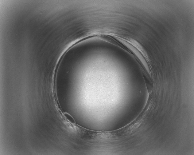 X0000058771052200510071537