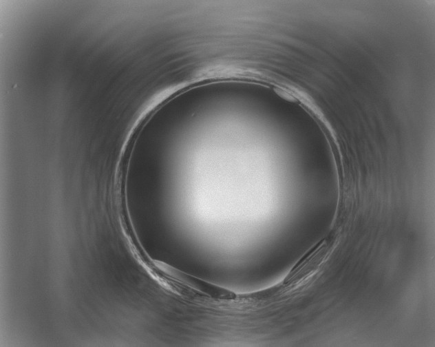 X0000058771053200510071537