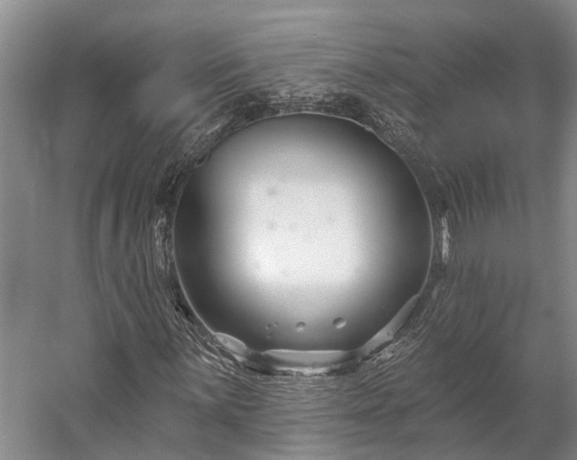 X0000058771059200510071537