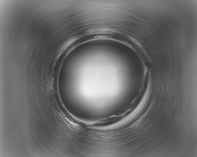X0000058771066200510071536