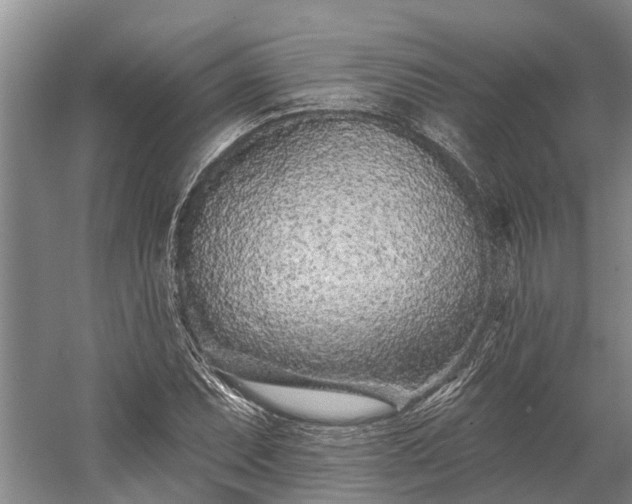X0000058771071200510071536