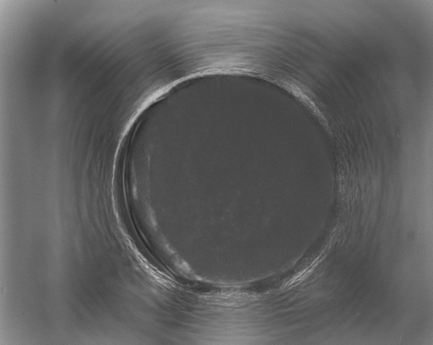 X0000058771077200510071536