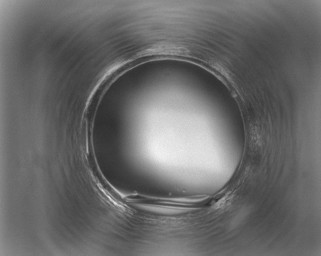 X0000058771123200510071535