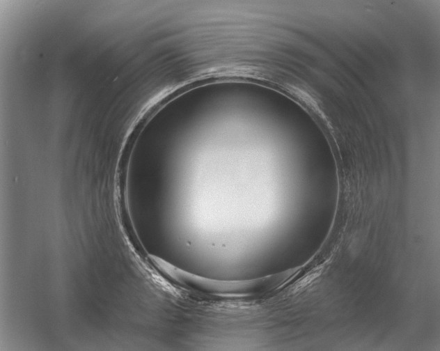 X0000058771133200510071535