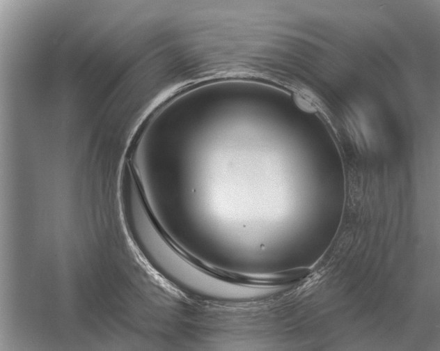 X0000058771142200510071536