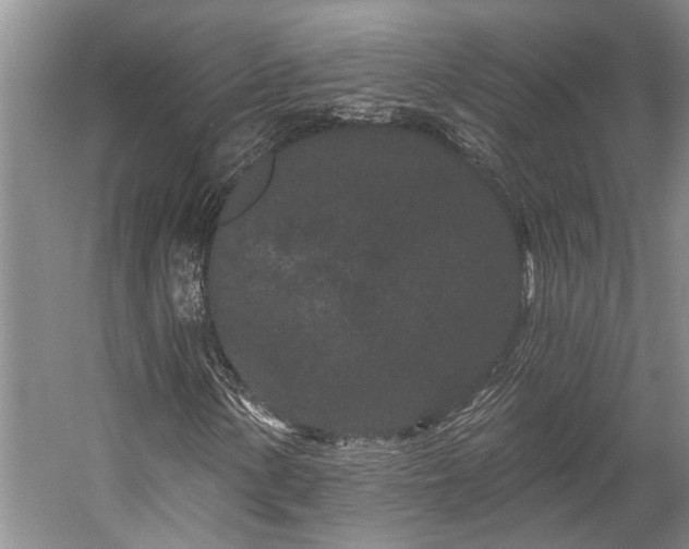 X0000058771154200510071535