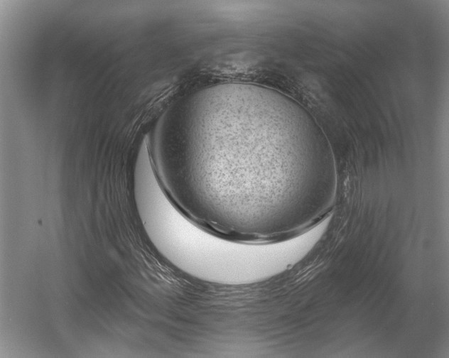 X0000058771156200510071535