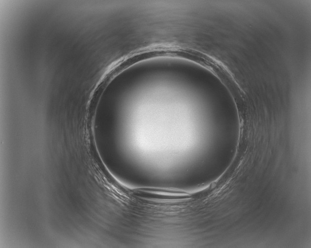 X0000058771168200510071535