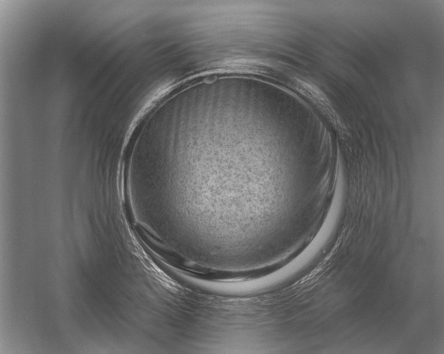 X0000058771180200510071535