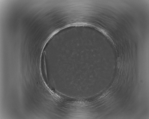 X0000058771229200510071534