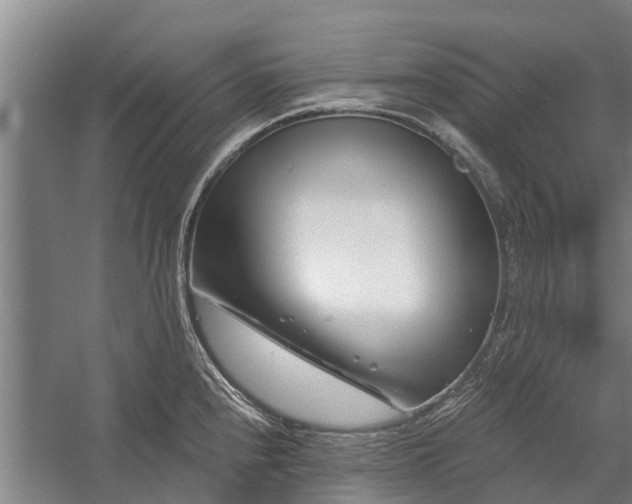 X0000058771240200510071534