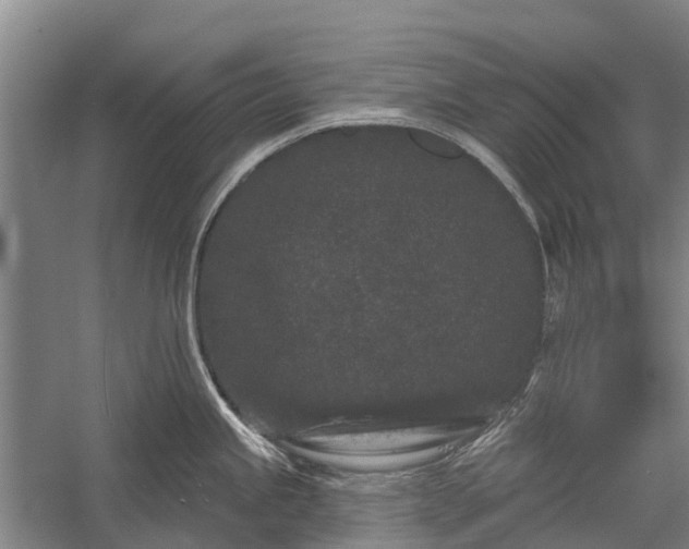 X0000058771245200510071534