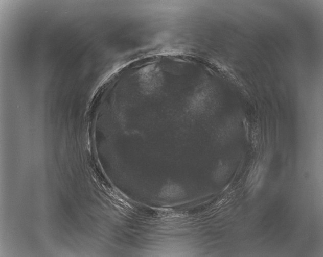 X0000058771262200510071533