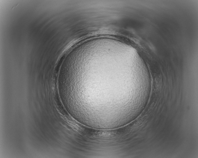 X0000058771266200510071533