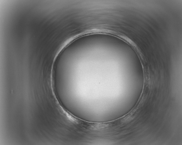 X0000058771294200510071533