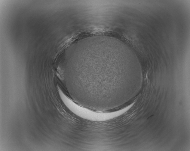 X0000058771348200510071531