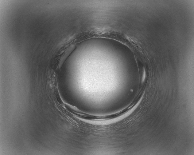 X0000058771349200510071531
