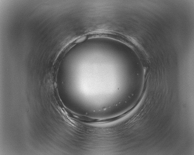X0000058771356200510071531