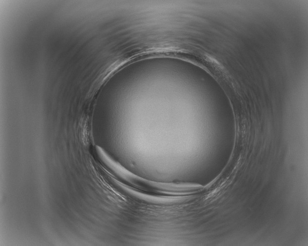 X0000058771361200510071531