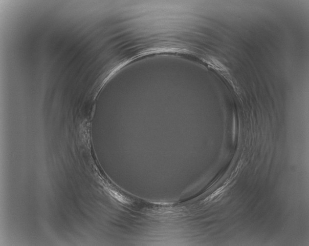 X0000058771369200510071531
