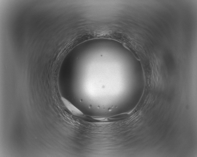 X0000058771393200510071530