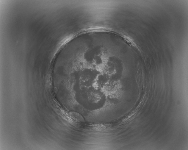 X0000058771405200510071530