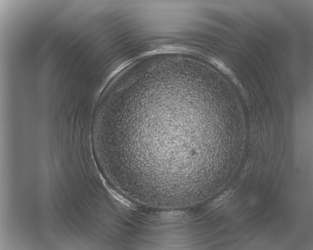 X0000058771425200510071530