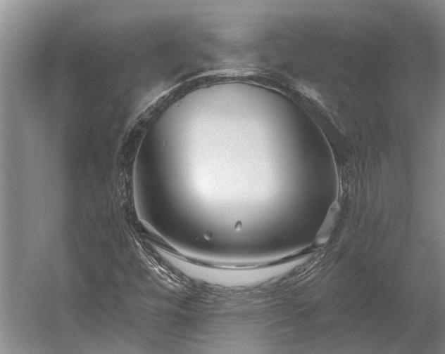 X0000058771448200510071530