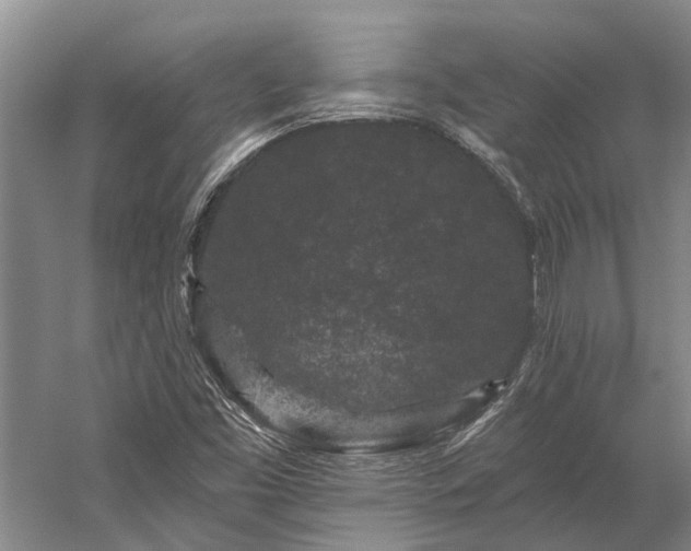 X0000058771453200510071530