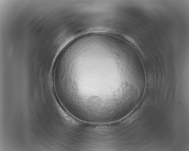 X0000058771466200510071529