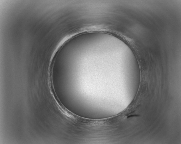 X0000058771470200510071529
