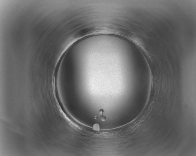 X0000058771476200510071529