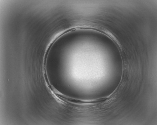 X0000058771485200510071529