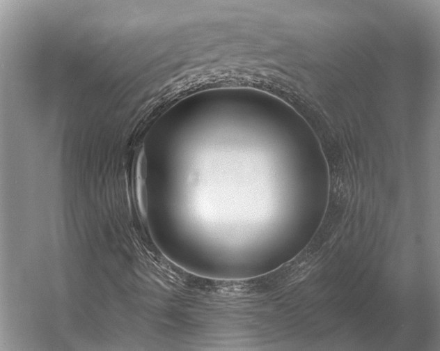 X0000058771490200510071528