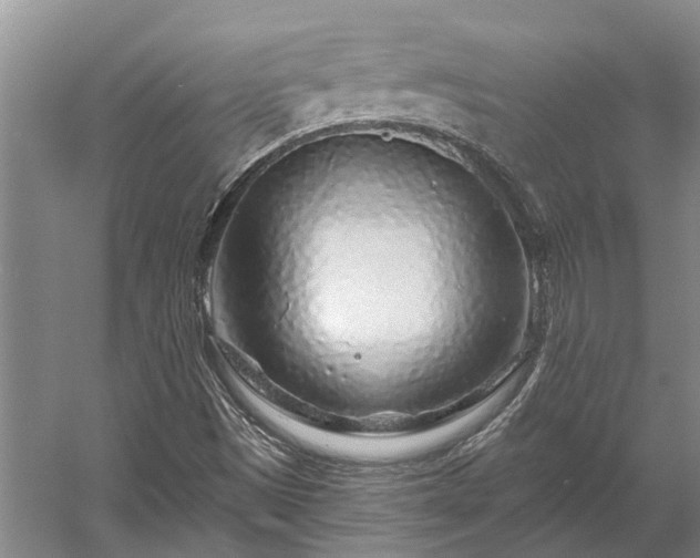 X0000058771497200510071528